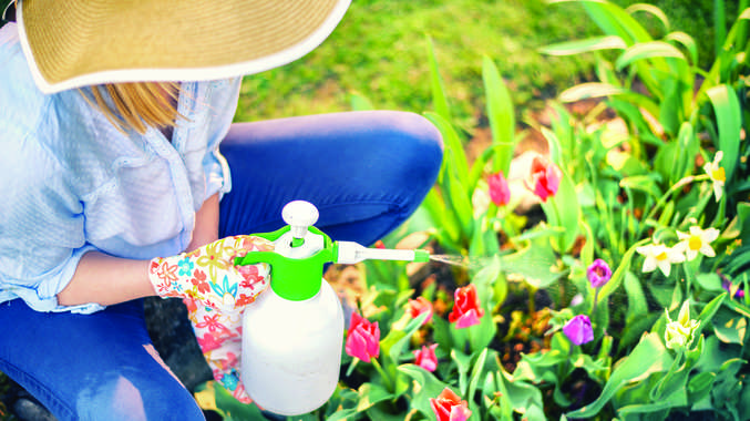 Keeping your garden safe should be a top priority when deciding to cultivate.