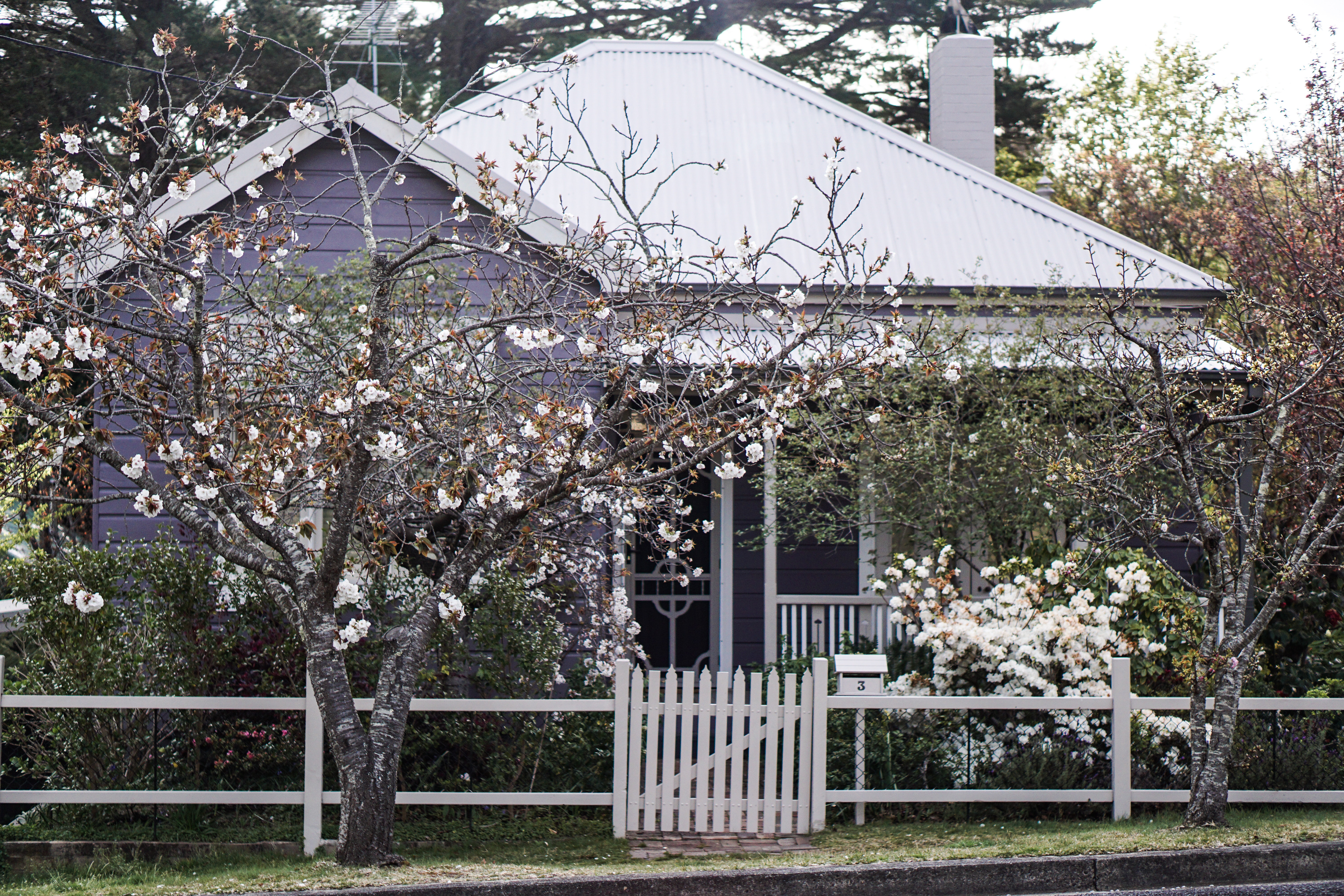 A simple fence can sophisticate your home. 