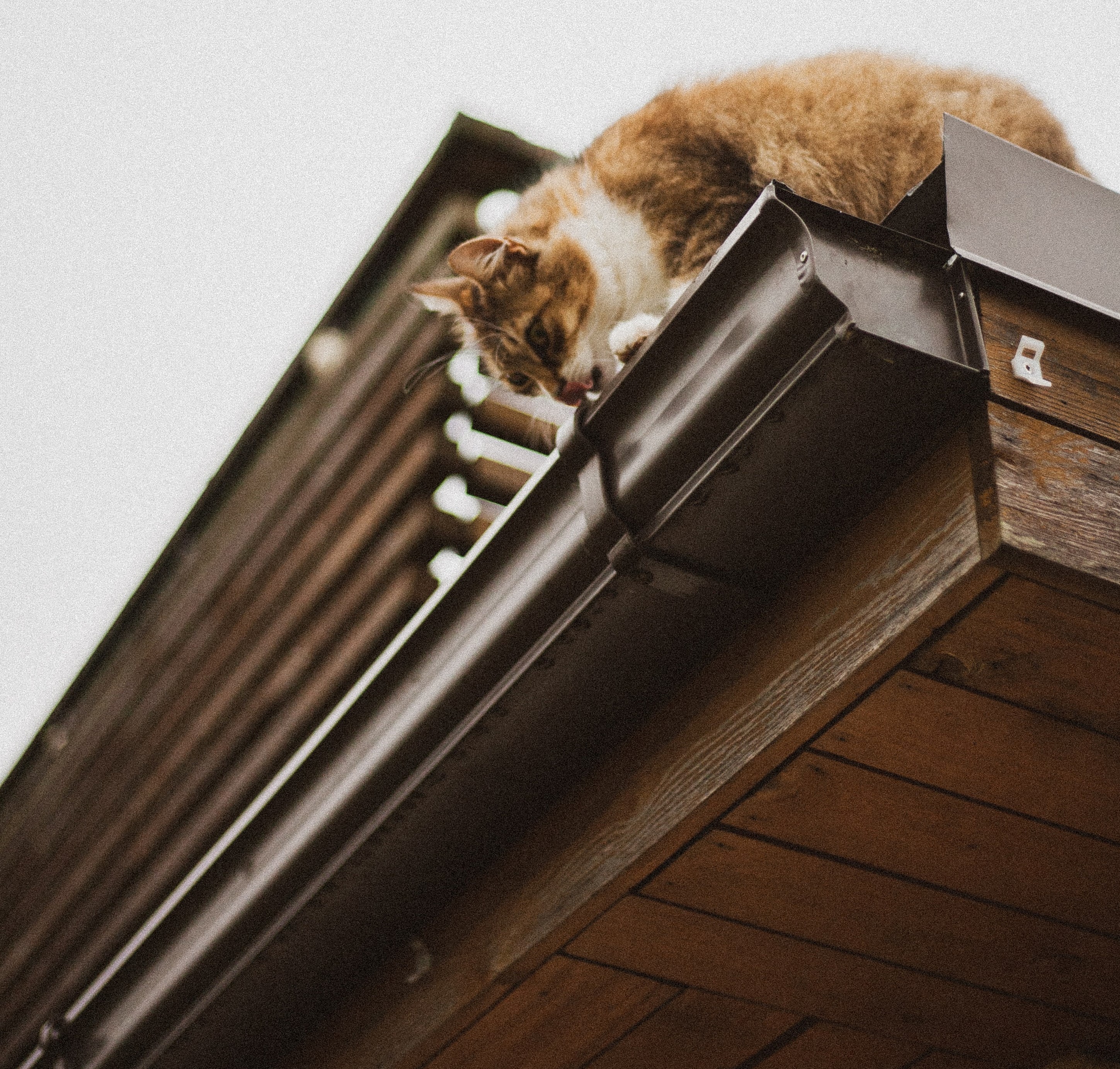 Clean out your gutters to prepare for storms