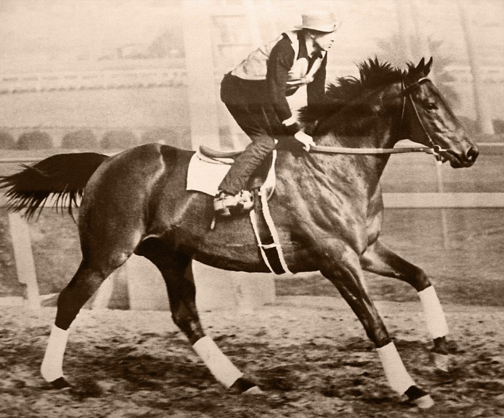 George Wolf riding Seabiscuit
