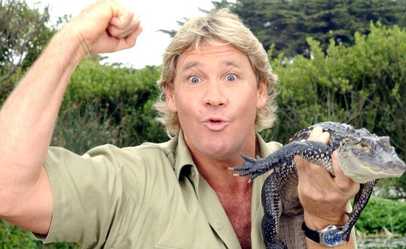 Tribute to the Crocodile Hunter, Steve Irwin