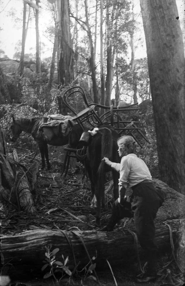 Guide Alice Mount Buffalo, around 1912. Image care of Alice Manfield collection, State Library of Victoria 