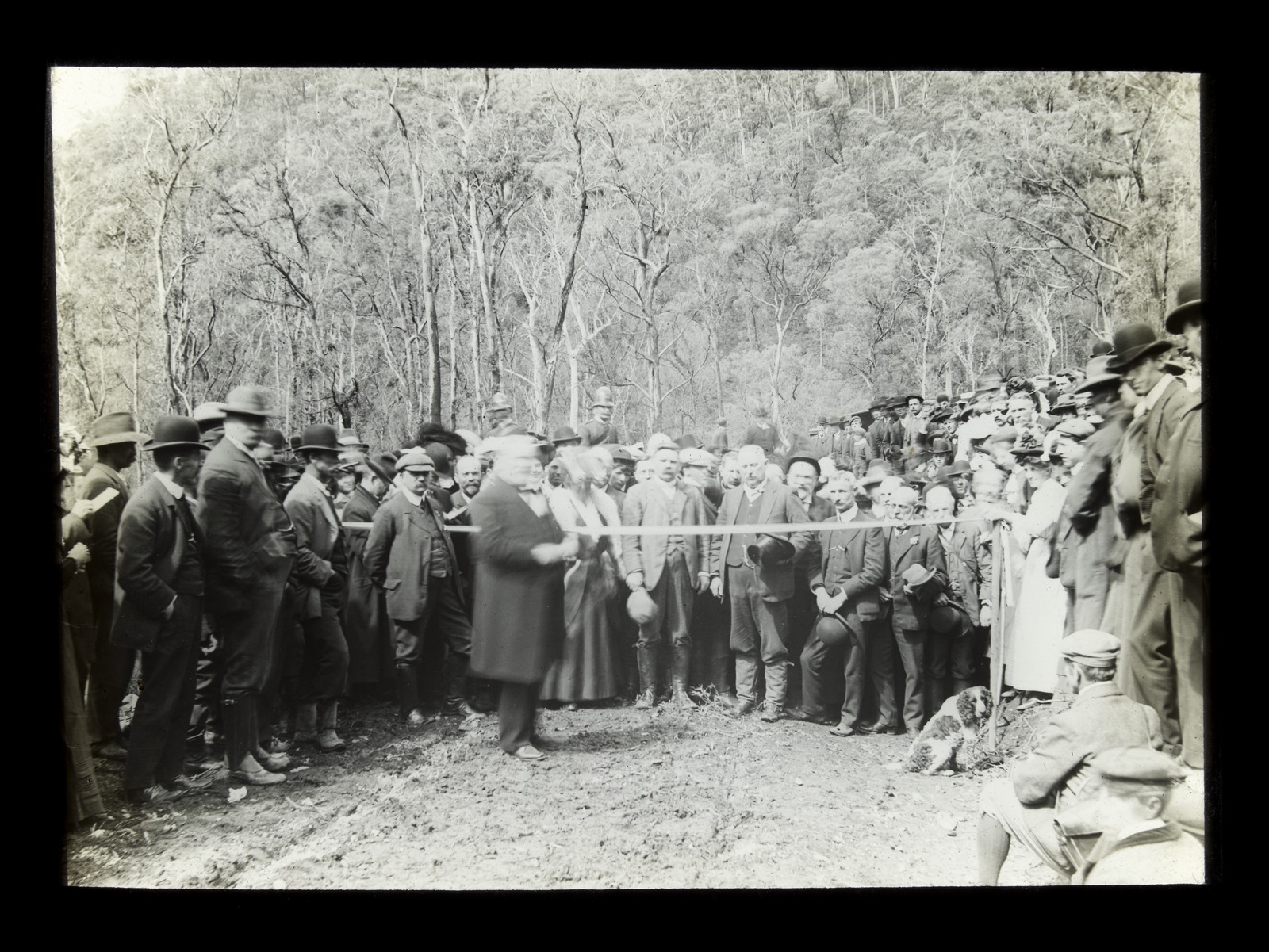 The opening of the road to the Chalet, 1908. Image care of Alice Manfield collection,  State Library of Victoria  
