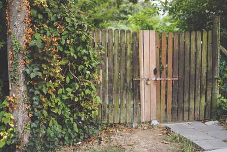 Keeping your fence in good condition is more important than you'd think.