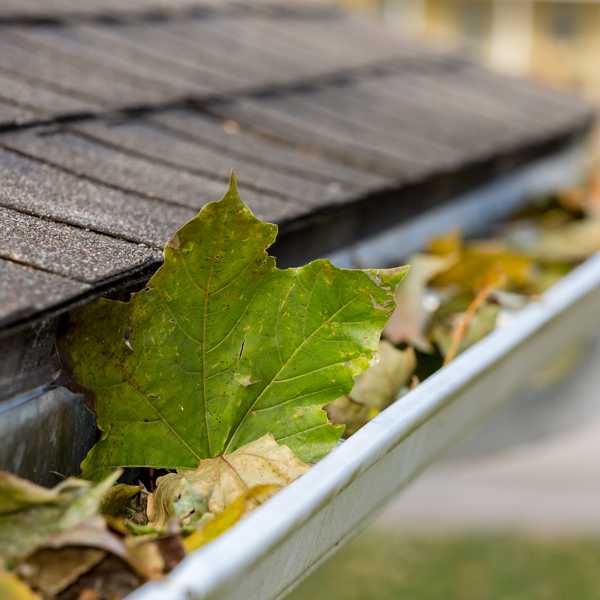 Leaving critical outdoor maintenance can lead to dire circumstances. 