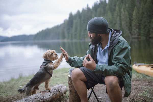 Honouring our companions: Writing a eulogy for your pet