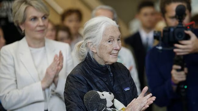 Dr Jane Goodall visits Taronga Zoo flanked by (left) Minster for the Environment and Water, Tanya Plibersek in 2025. Picture - NewsWire - John Appleyard