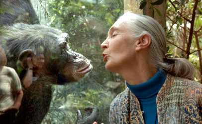Jane Goodall: The woman who gave voice to nature