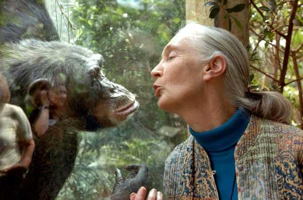Jane Goodall: The woman who gave voice to nature