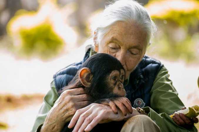 Primatologist Jane Goodall, who has spent her life researching and fighting for the conservation of chimpanzees, pictured in Entebbe in 2018