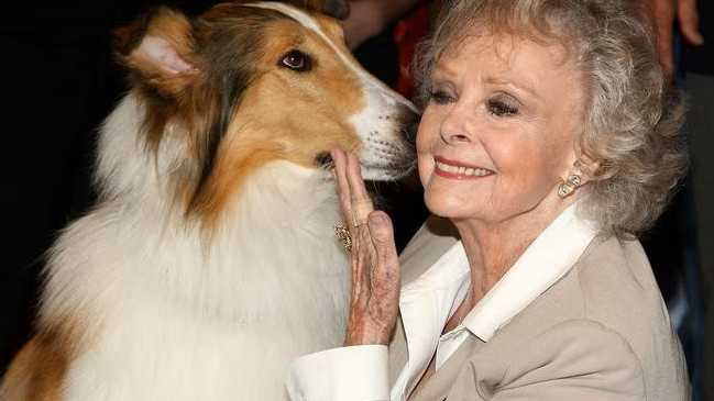 Lockhart received two Emmy nominations for her work on Lassie. Picture- Alberto E. Rodriguez-Getty Images