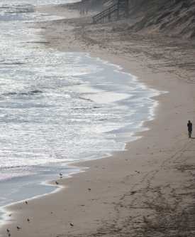 Julian Cafarella 1947-2026