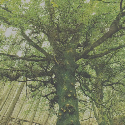 O'NEILL, Brian Neville